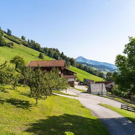 Anderla 1 Apartment Wildschoenau Exterior photo